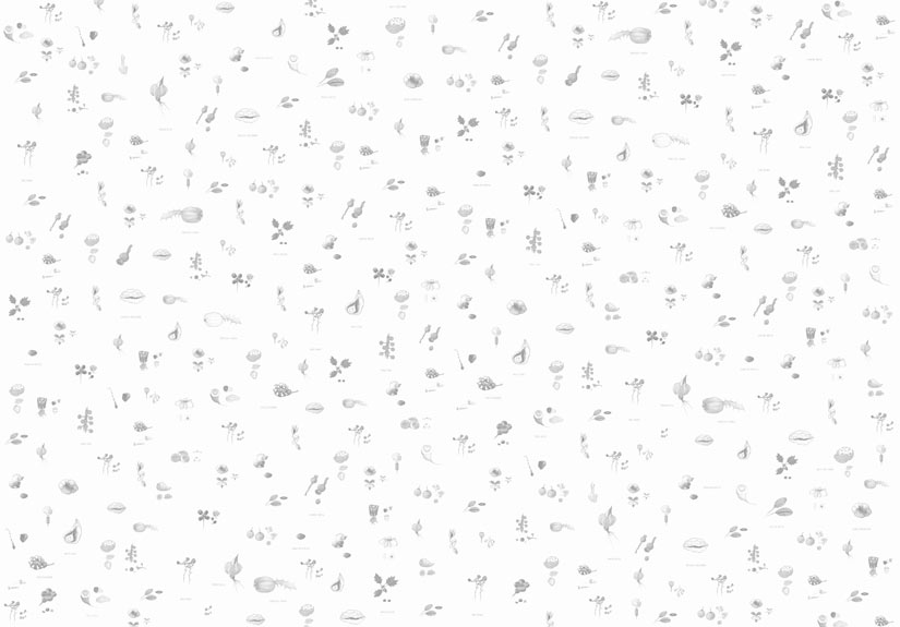 Papier peint Mirabilia Florum Noir et Blanc Panoramique