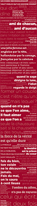 Lé unique de papier peint PROVERBES Fond coloré Déco