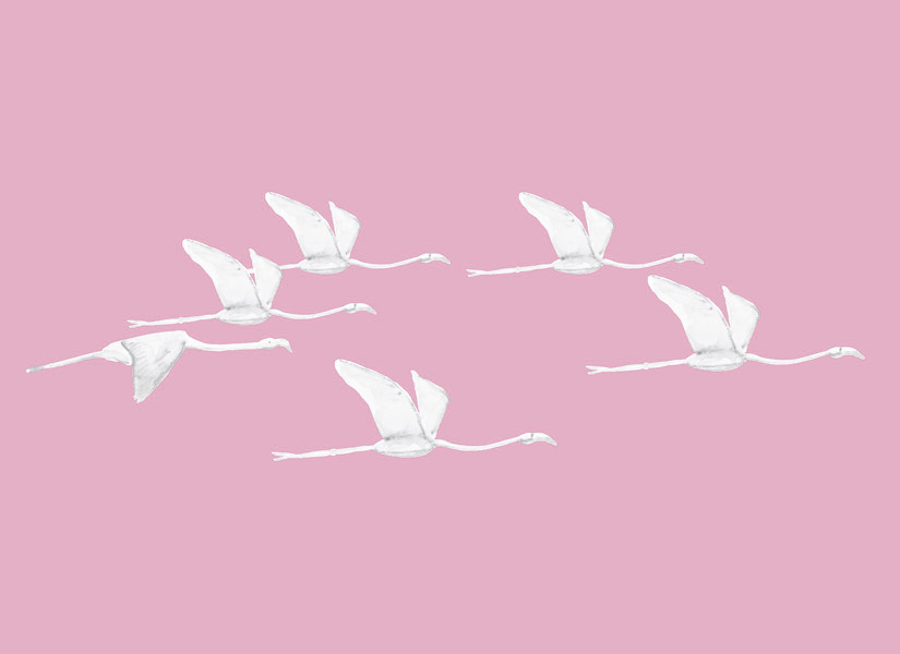 Papier peint Flamants blancs fond Rose Medium