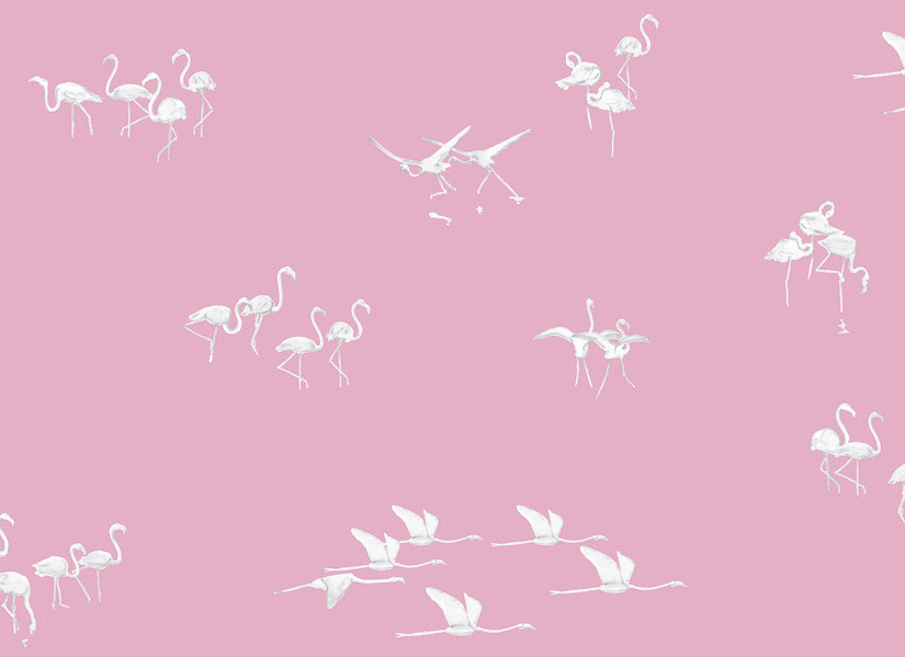 Papier peint Flamants blancs fond Rose Medium