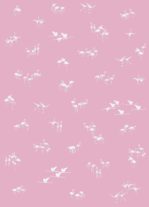 Papier peint Flamants blancs fond Rose Medium