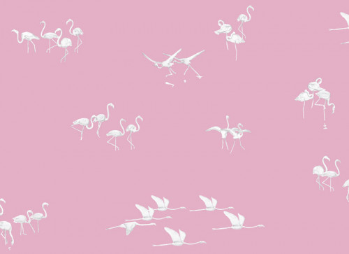 Papier peint Flamants blancs fond Rose Panoramique