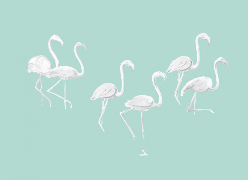 Papier peint Flamants blancs fond Vert clair Panoramique