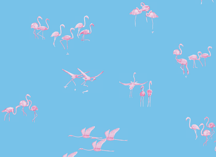 Papier peint Flamants Roses fond Bleu Medium