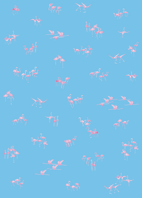 Papier peint Flamants Roses fond Bleu Medium