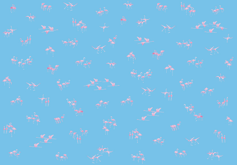 Papier peint Flamants Roses fond Bleu Panoramique