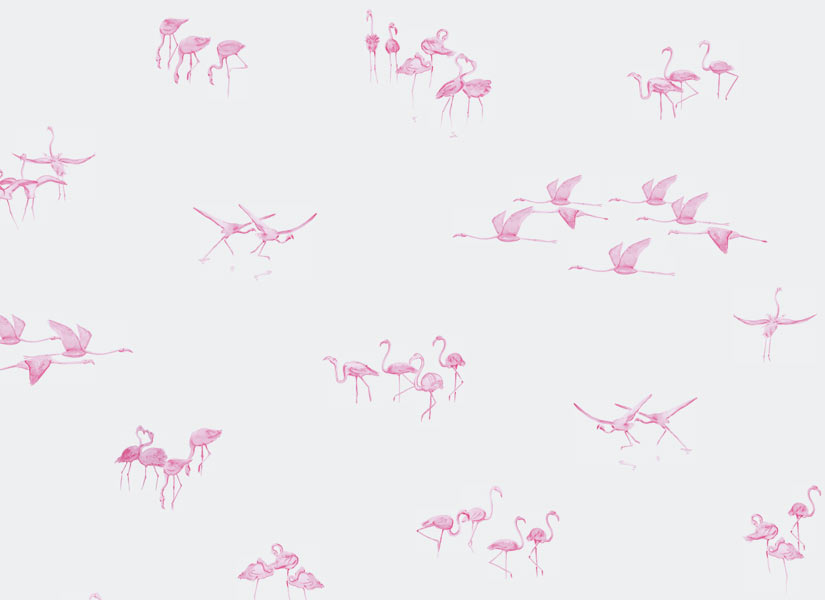 Papier peint Flamants Roses fond Gris clair Medium