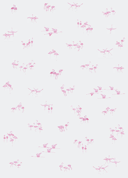 Papier peint Flamants Roses fond Gris clair Medium