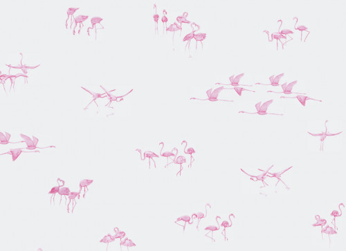 Papier peint Flamants Roses fond Gris clair Panoramique