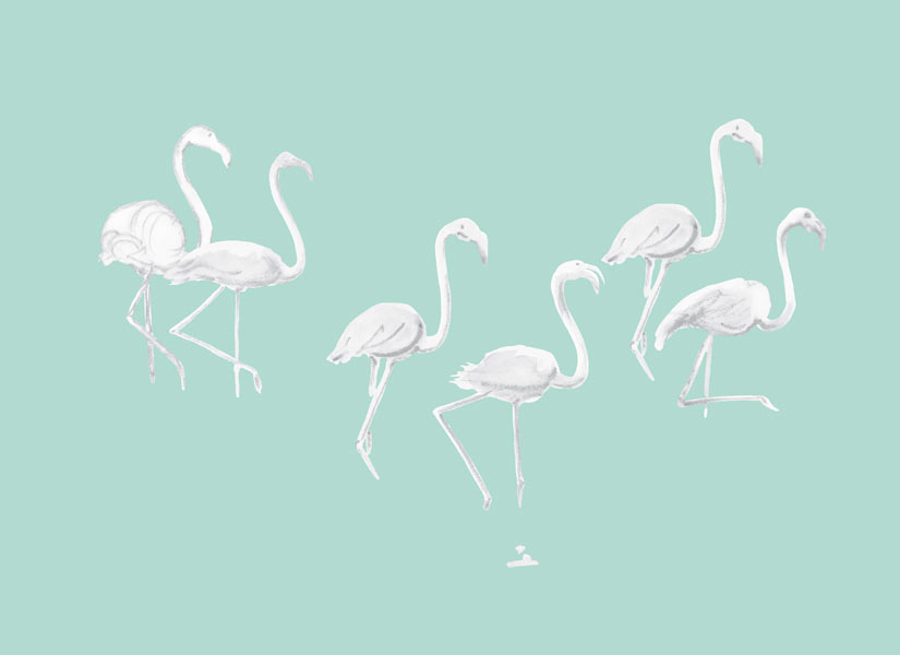 ohmywall-papier-peint-Flamants-blancs-fond-vert-medium-zoom.jpg