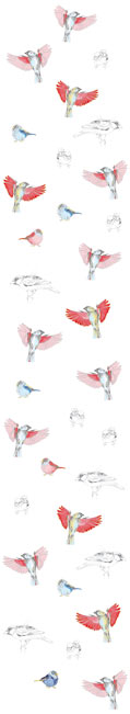 Papier peint Les Oiseaux de Pierrot en couleur Deco