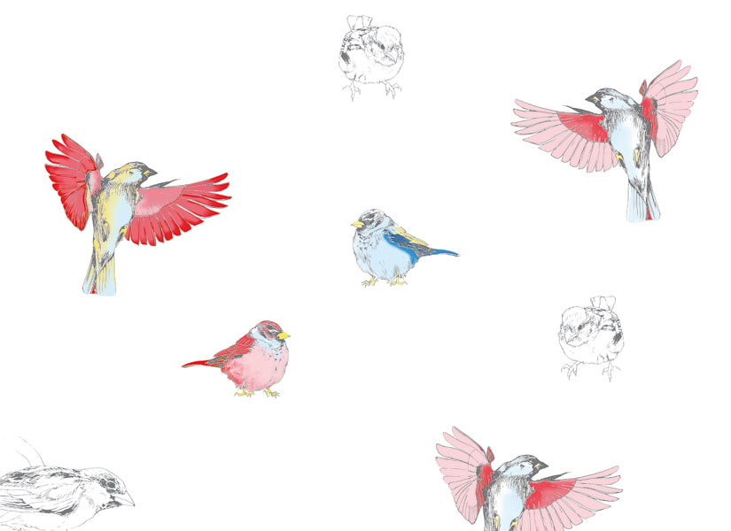 Papier peint Les Oiseaux de Pierrot en couleur Medium