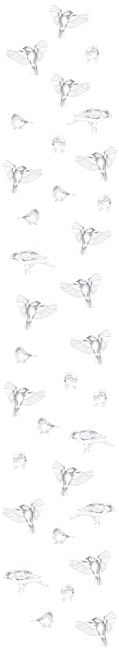 Papier peint Les Oiseaux de Pierrot Gris Deco