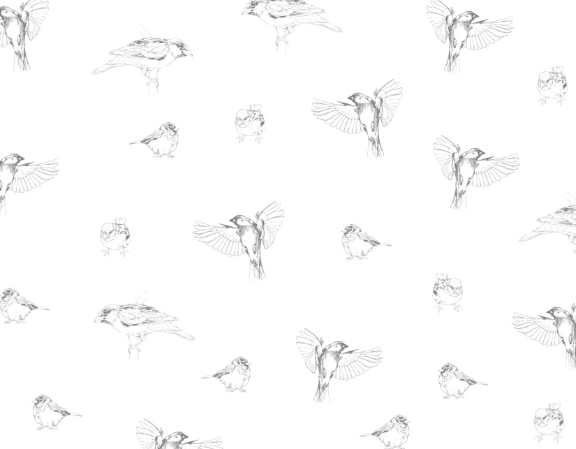 Papier peint Les Oiseaux de Pierrot Gris Medium