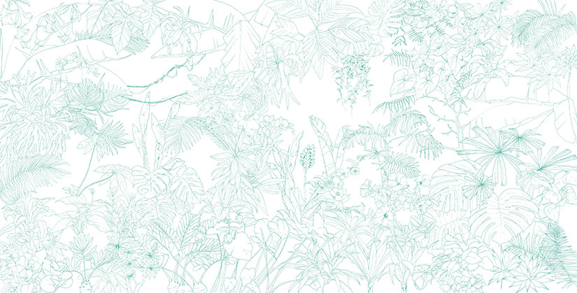 Papier peint Jungle Tropical Vert Turquoise Big Panoramique
